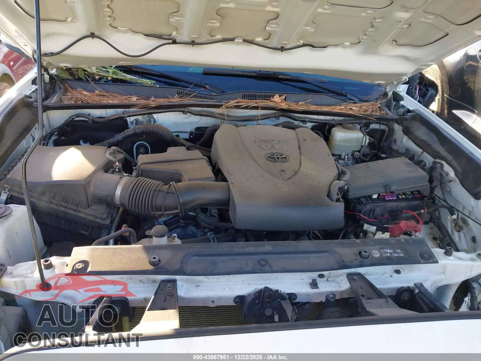 2019 TOYOTA TACOMA Damaged VIN 5TFCZ5AN0KX177605 – odometer reading