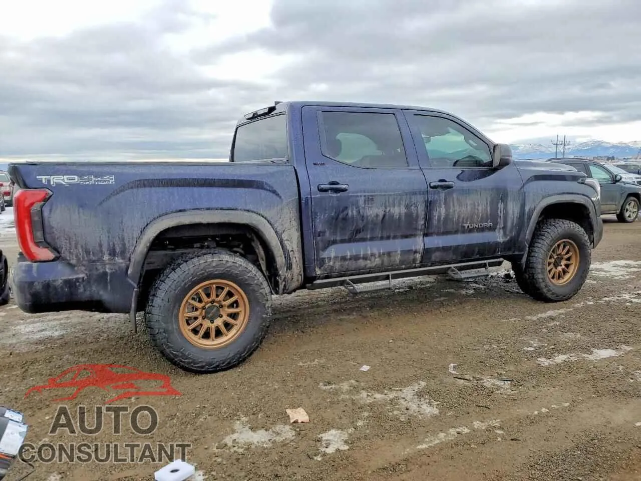 2025 TOYOTA TUNDRA Damaged VIN 5TFLA5DB2SX245833 – side profile