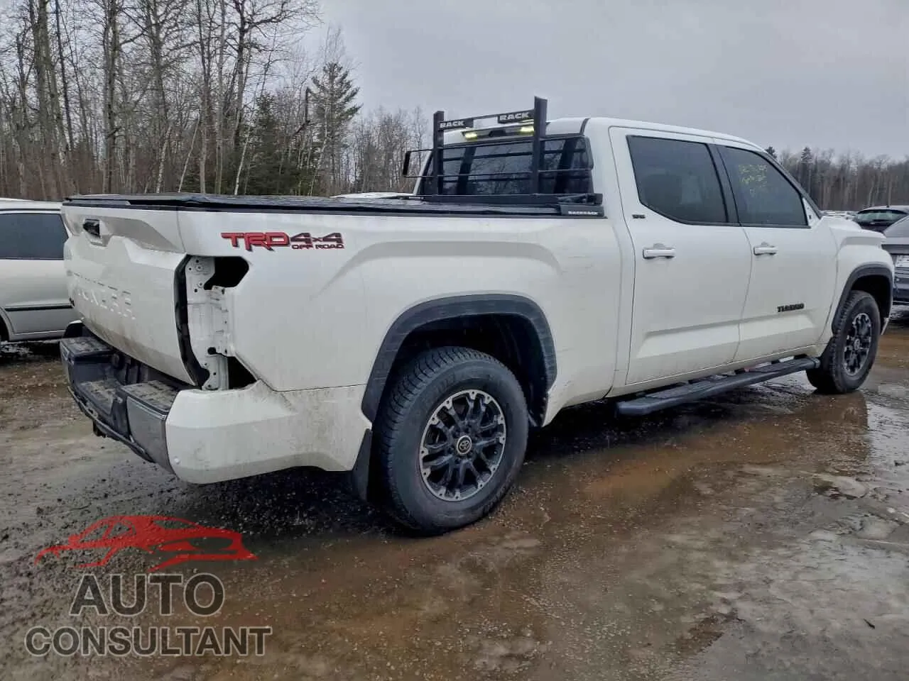 2022 TOYOTA TUNDRA Damaged VIN 5TFLA5EC3NX006058 – side profile