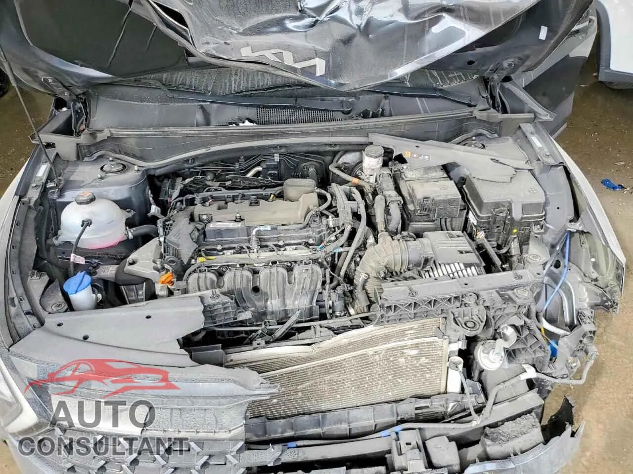 2024 KIA SPORTAGE X Damaged VIN 5XYK6CDF7RG208214 – photo 12