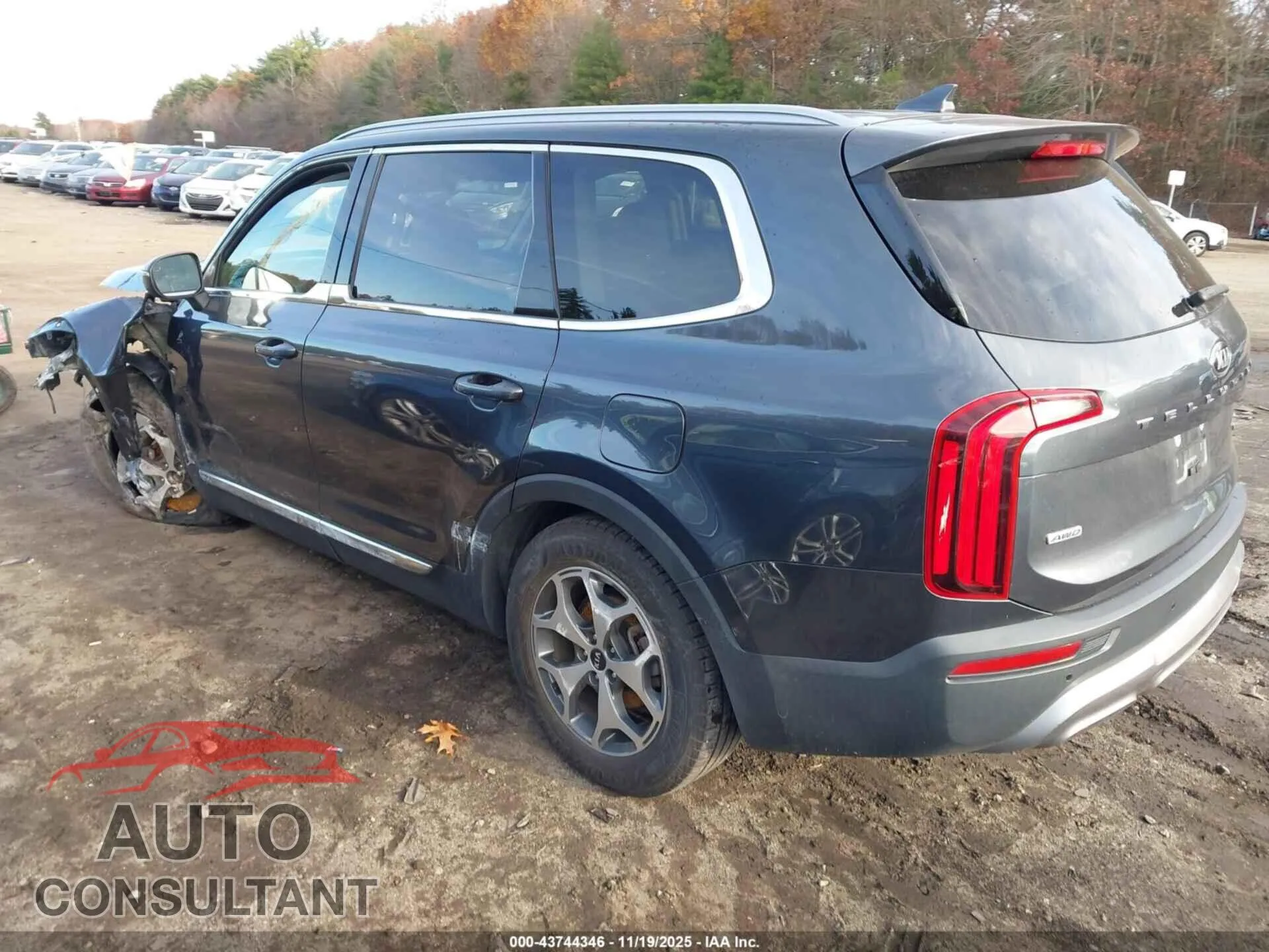 2020 KIA TELLURIDE Damaged VIN 5XYP3DHC0LG002034 – side profile