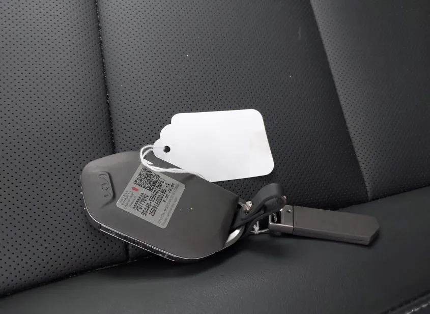 2025 KIA Telluride Used VIN 5XYP6DGC2SG724869 – exterior detail