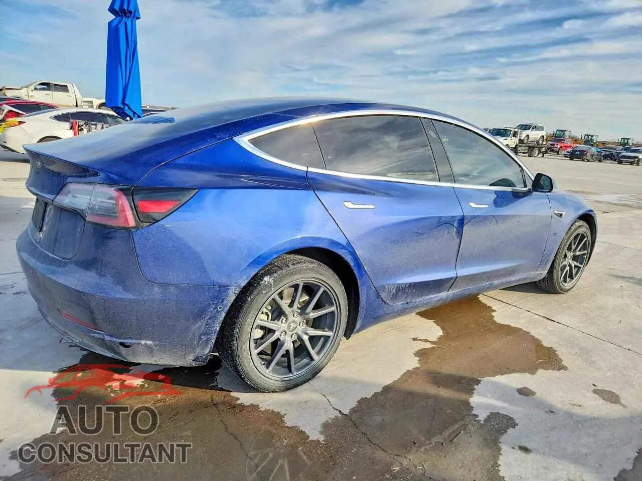 2019 TESLA MODEL 3 Damaged VIN 5YJ3E1EA2KF425052 – side profile