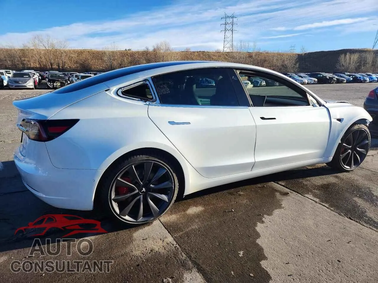 2020 TESLA MODEL 3 Damaged VIN 5YJ3E1EC3LF641382 – side profile