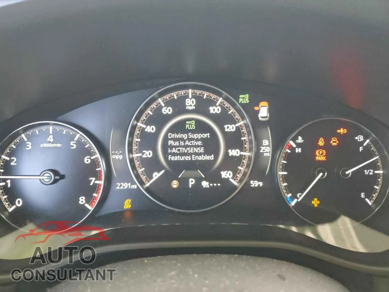 2025 MAZDA CX-50 Damaged VIN 7MMVABAM4SN349166 – trunk area