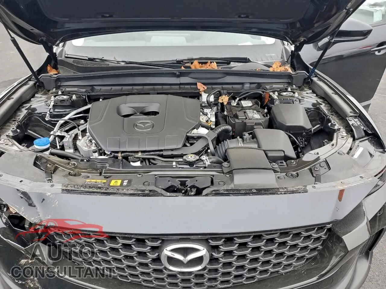 2025 MAZDA CX-50 Damaged VIN 7MMVABAM4SN349166 – photo 12