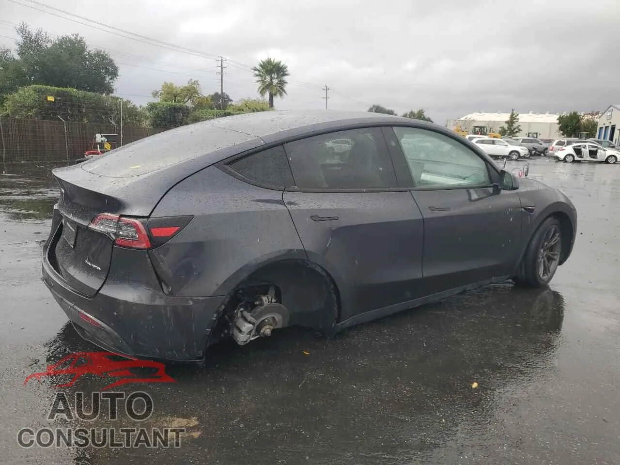 2025 TESLA MODEL Y Damaged VIN 7SAYGAEE1SF232171 – side profile