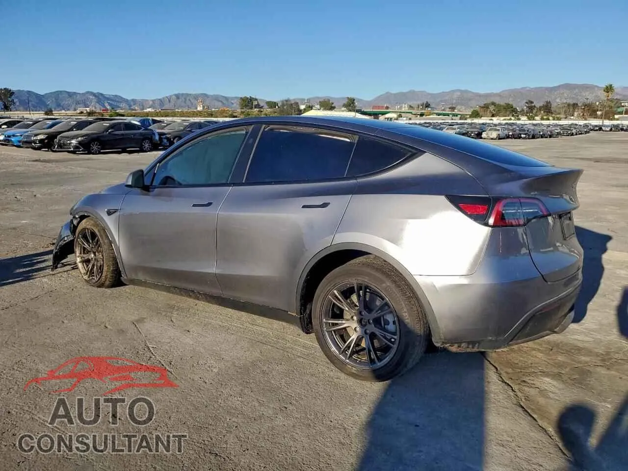 2025 TESLA MODEL Y Damaged VIN 7SAYGDED6SF318908 – rear exterior
