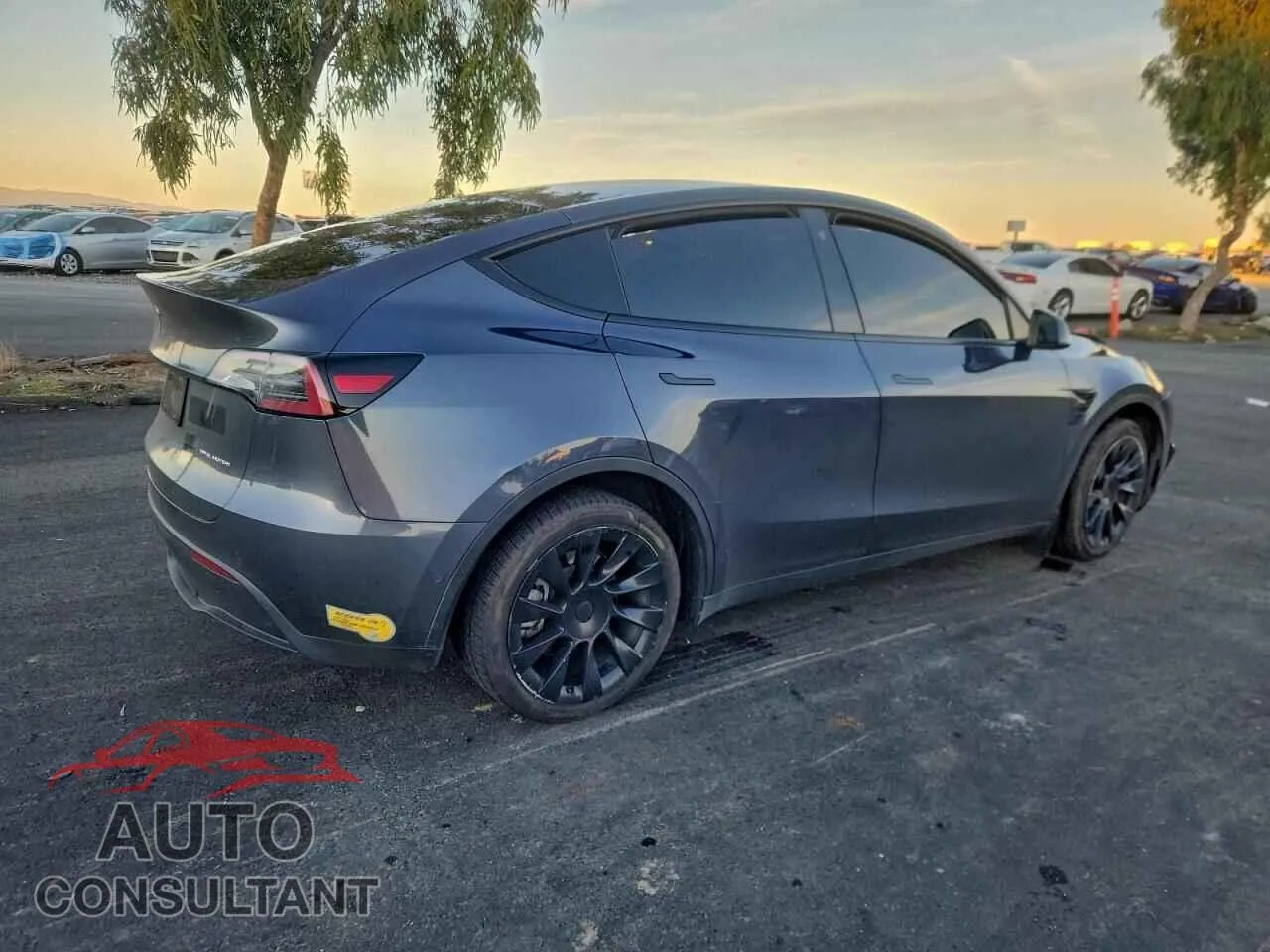 2022 TESLA MODEL Y Damaged VIN 7SAYGDEE3NF314487 – side profile