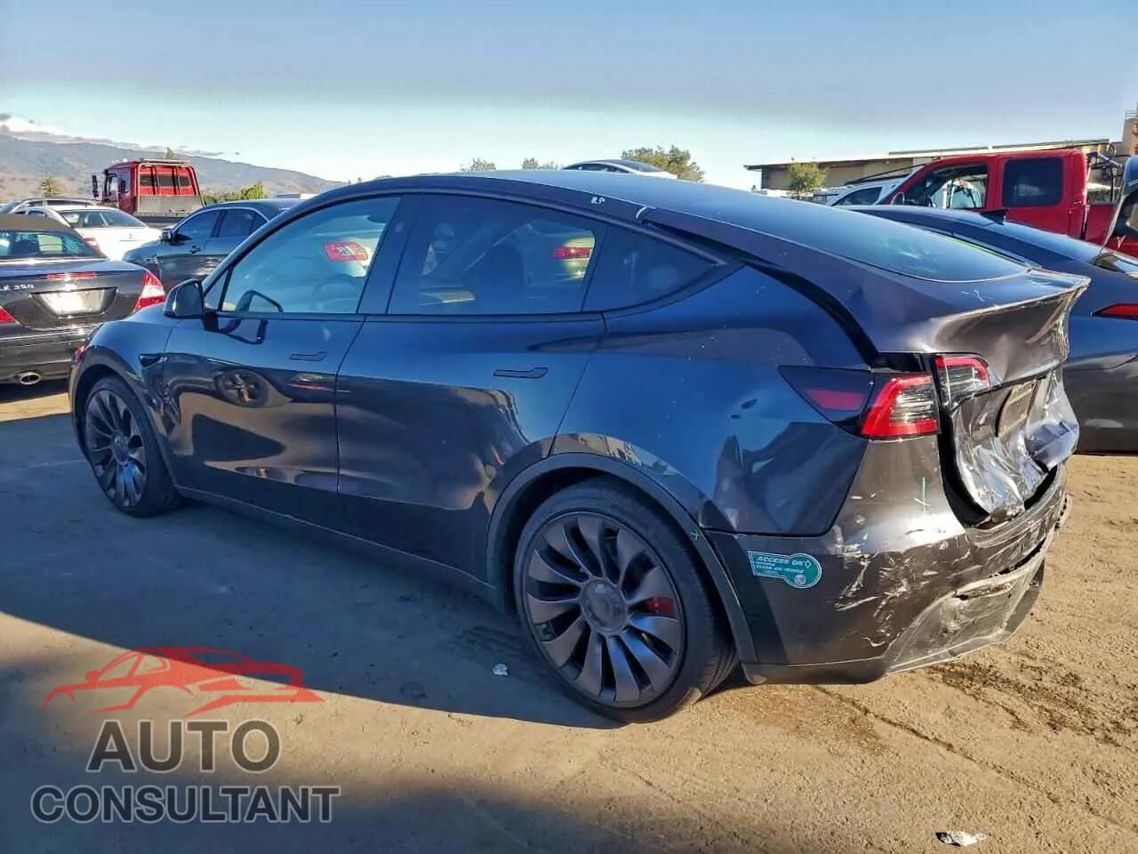 2025 TESLA MODEL Y Damaged VIN 7SAYGDEF1SF259459 – rear exterior