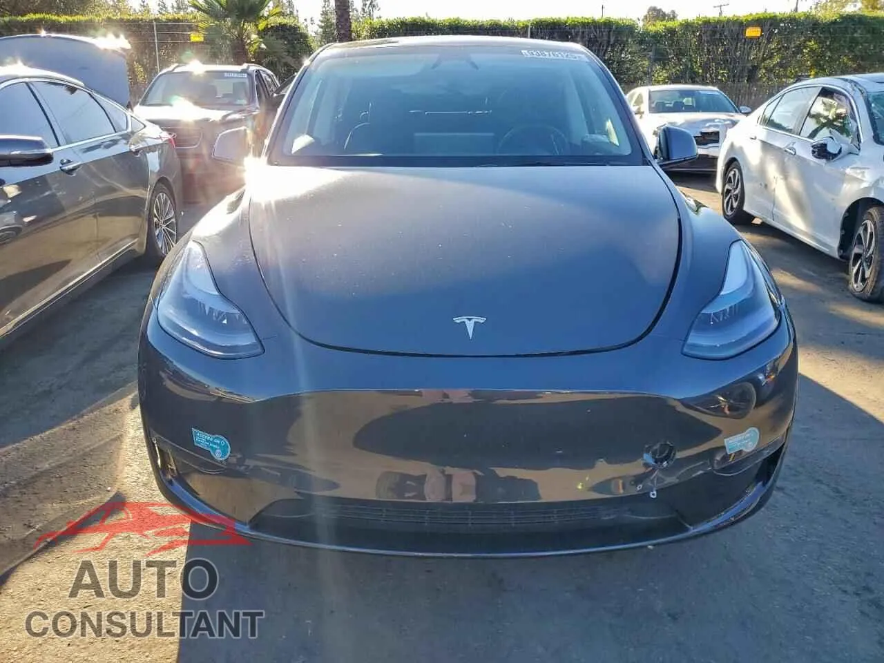 2025 TESLA MODEL Y Damaged VIN 7SAYGDEF1SF259459 – interior seats