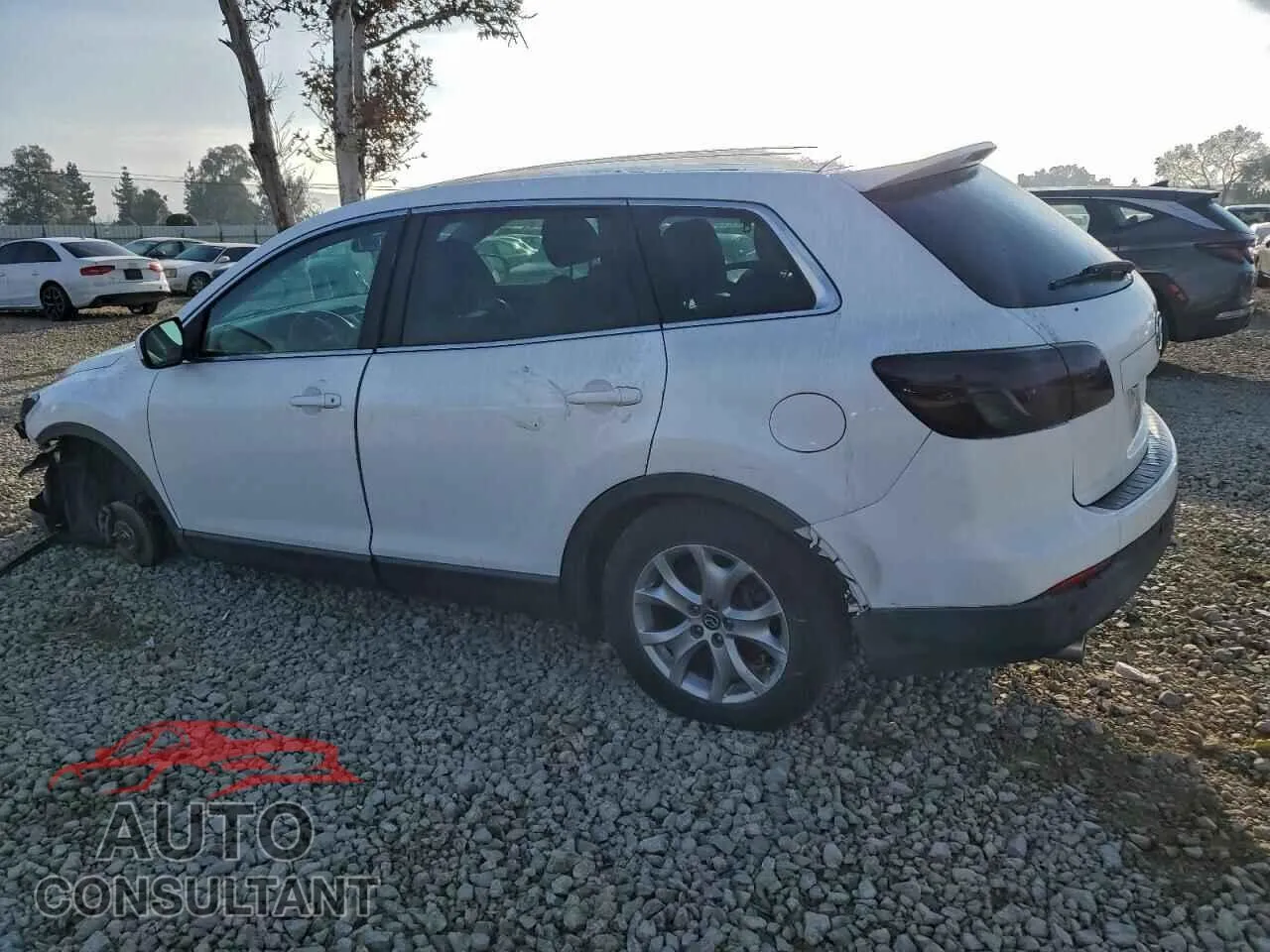 2014 MAZDA CX-9 Damaged VIN JM3TB2CV9E0446303 – rear exterior
