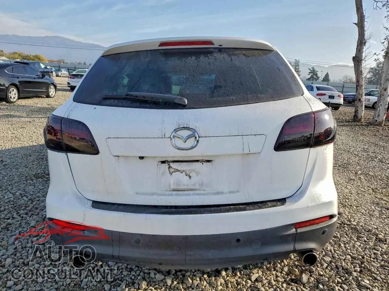 2014 MAZDA CX-9 Damaged VIN JM3TB2CV9E0446303 – engine bay
