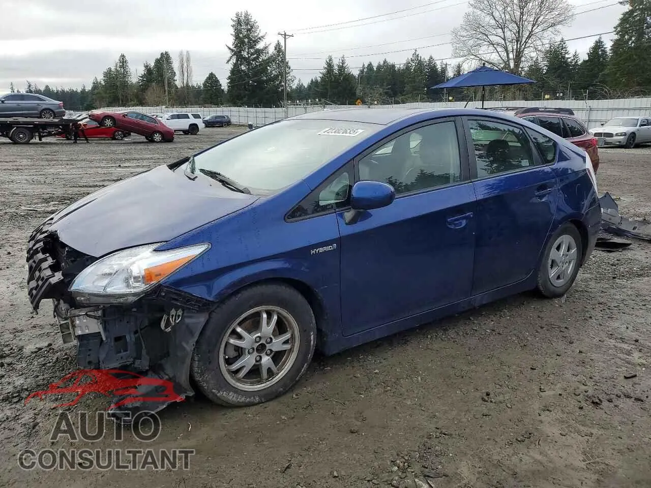 2010 TOYOTA PRIUS VIN JTDKN3DU9A1004746