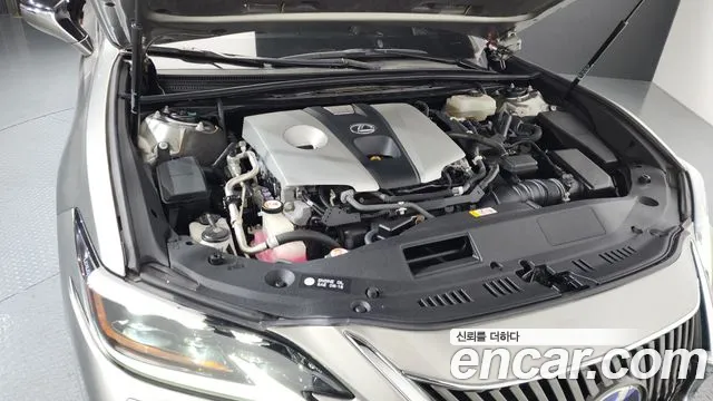 2019 Lexus ES300h 7th Gen Executive VIN JTHB21B12K2039421