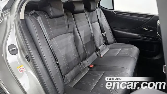 2019 Lexus ES300h 7th Gen Luxury Sold VIN JTHB21B13K2066871 – photo 13