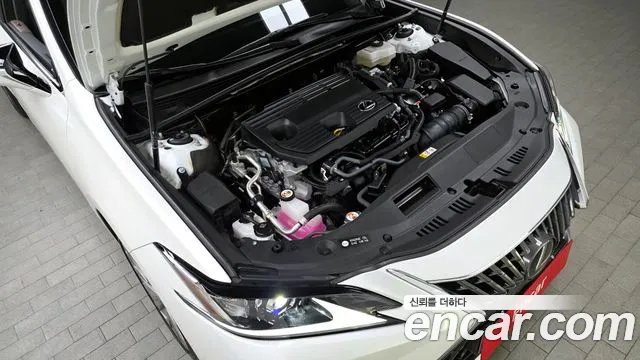 2025 Lexus ES300h 7th Gen Luxury Plus VIN JTHBA1C13S2024489