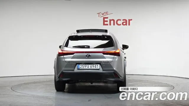 2024 Lexus UX250h 2.0 2WD VIN JTHP6JBH9R2193643