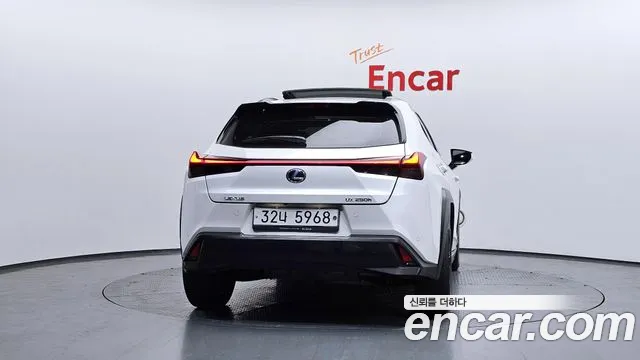 2019 Lexus UX250h 2.0 2WD Sold VIN JTHY6JBH5K2001497 – photo 15