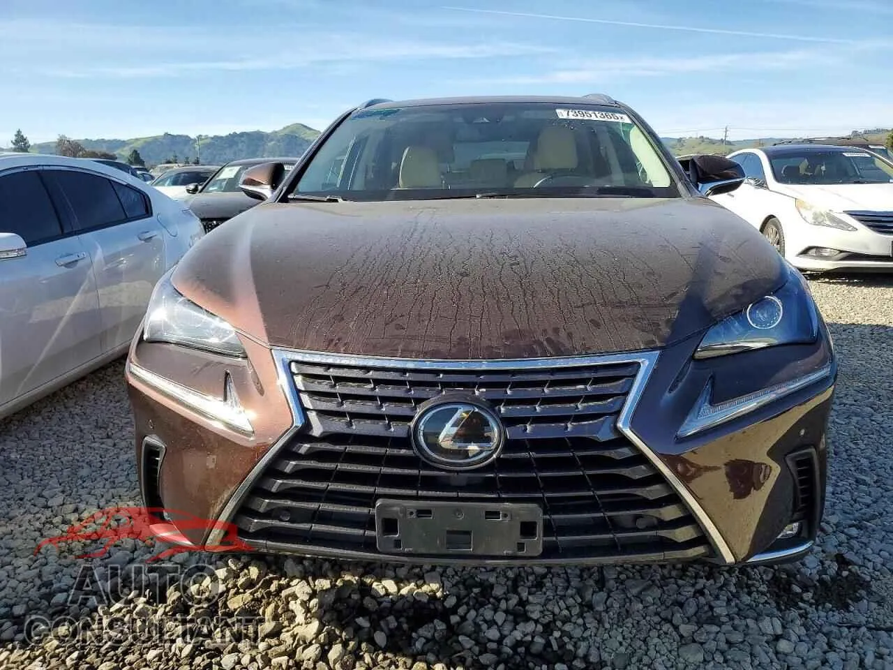 2018 LEXUS NX Damaged VIN JTJBARBZ1J2160896 – interior seats