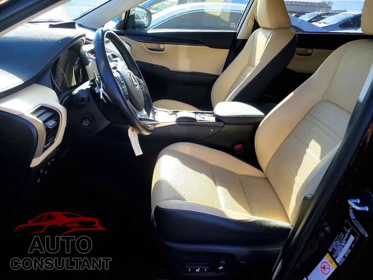 2018 LEXUS NX Damaged VIN JTJBARBZ1J2160896 – exterior detail