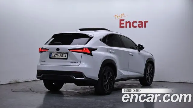 2019 Lexus Nx300h Executive Sold VIN JTJBJRBZ3K2124712 – front exterior