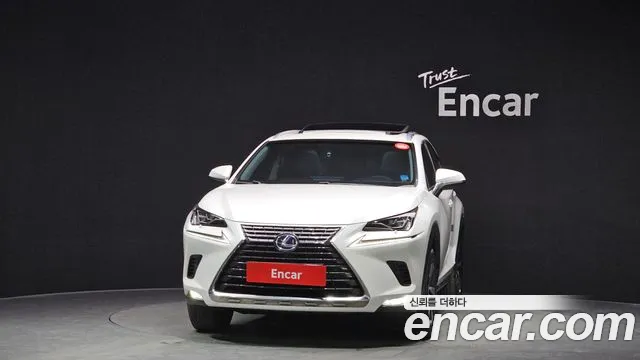 2018 Lexus NX300h Supreme Sold VIN JTJBJRBZ6J2094491 – photo 13