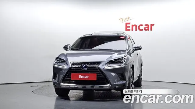 2018 Lexus NX300h Executive Sold VIN JTJBJRBZXJ2077452 – engine bay