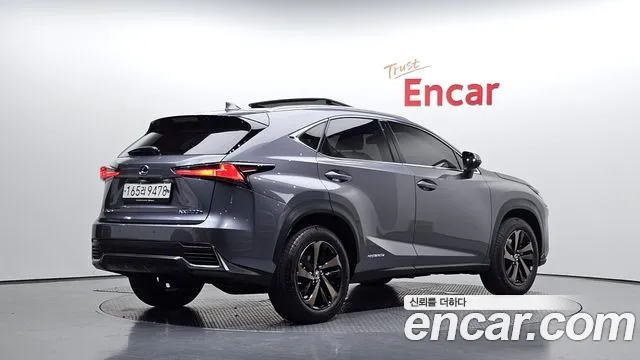 2018 Lexus NX300h Executive Sold VIN JTJBJRBZXJ2077452 – photo 20
