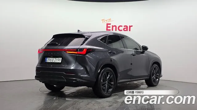 2024 Lexus NX350h 2nd Gen Premium Sold VIN JTJGKAEZ383838383 – photo 13