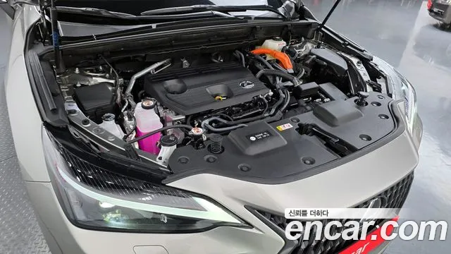 2025 Lexus NX350h 2nd Gen Premium VIN JTJGKAEZ4S2061801