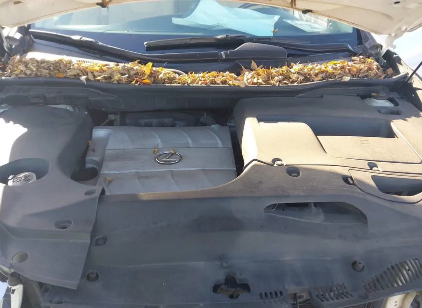 2010 LEXUS RX Used VIN JTJZK1BA3A2405270 – exterior detail