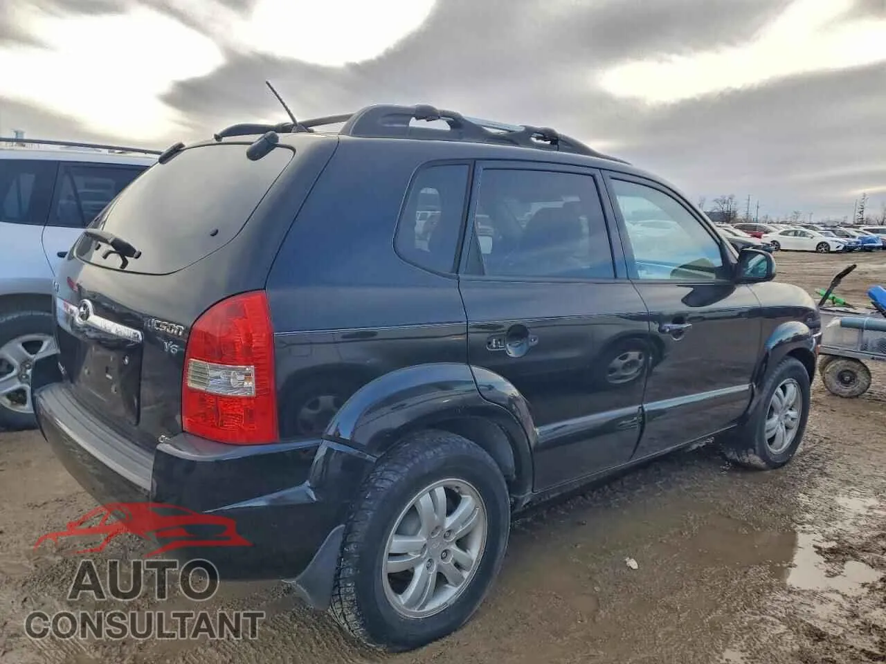 2009 HYUNDAI TUCSON Damaged VIN KM8JN72D46U318215 – side profile