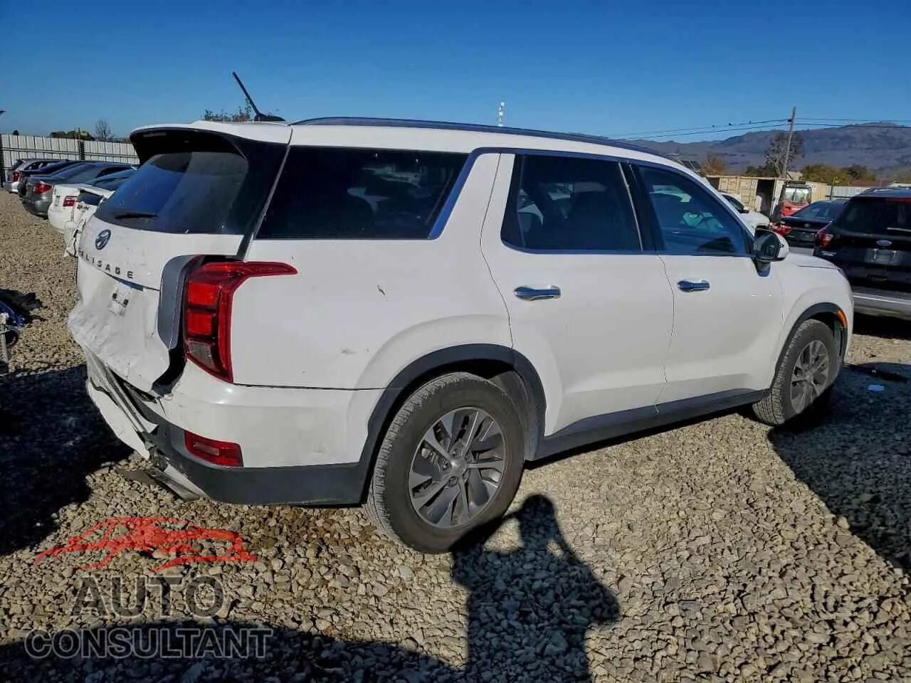 2020 HYUNDAI PALISADE Damaged VIN KM8R24HE8LU088295 – side profile