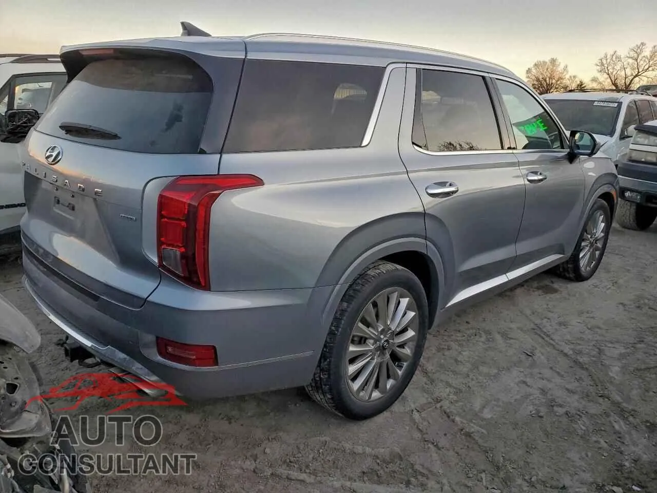 2020 HYUNDAI PALISADE Damaged VIN KM8R5DHE3LU150211 – side profile