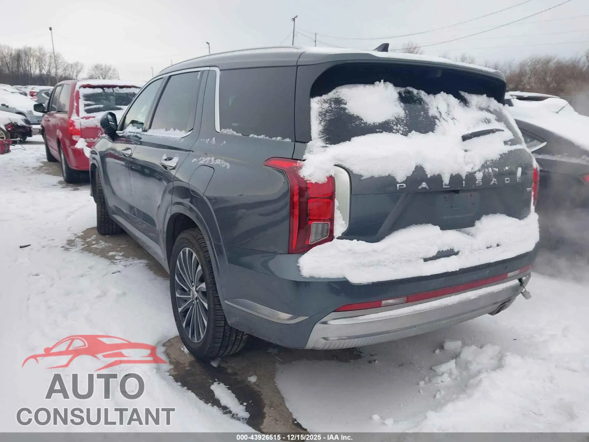 2023 HYUNDAI PALISADE Damaged VIN KM8R7DGE9PU636930 – side profile