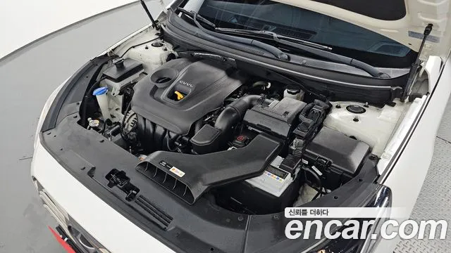 2019 Hyundai Sonata New Rise 2.0 Modern Sold VIN KMHE341CBKA555895 – trunk area 2019 Hyundai Sonata New Rise 2.0 Modern Sold VIN KMHE341CBKA555895 – trunk area