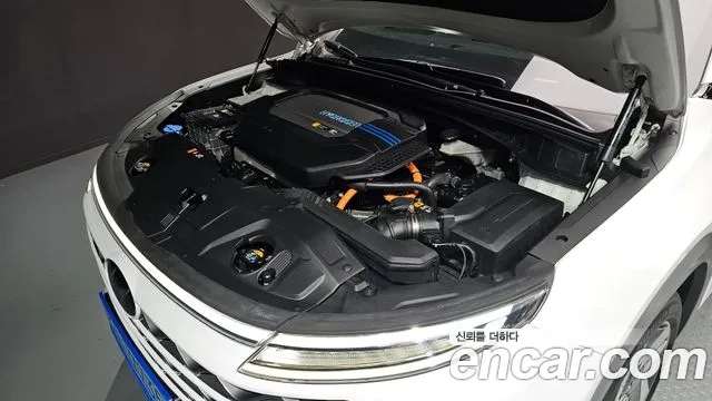 2019 Hyundai Nexo Premium VIN KMHJ8816FKU000646