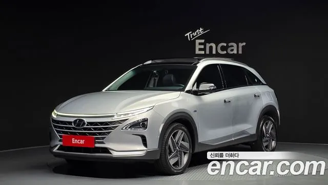 2020 Hyundai Nexo Premium Sold VIN KMHJ8816FLU007467 – trunk area