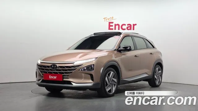 2021 Hyundai Nexo Premium Sold VIN KMHJ8816FMU010183 – side profile