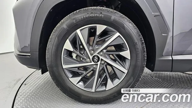 2022 Hyundai Tucson (NX4) Gasoline 1.6 Turbo 2WD VIN KMHJC81BGNU163444