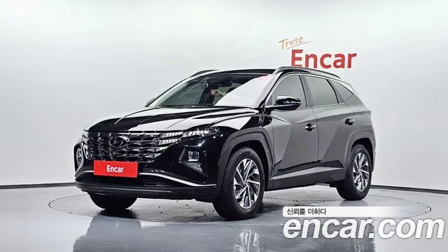 2023 Hyundai Tucson (NX4) Gasoline 1.6 Turbo 2WD VIN KMHJC81BGPU213237
