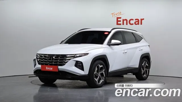 2023 Hyundai Tucson (NX4) Diesel 2.0 2WD Sold VIN KMHJC81CBPU253334 – exterior detail