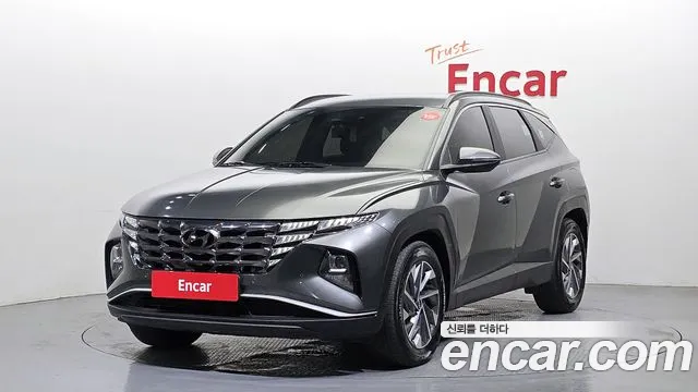 2023 Hyundai Tucson (NX4) Diesel 2.0 4WD Sold VIN KMHJC81CDPU188135 – photo 28