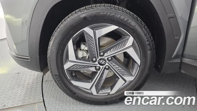 2023 Hyundai Tucson (NX4) Gasoline 1.6 Turbo 2WD VIN KMHJE81BGPU238895