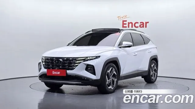2023 Hyundai Tucson (NX4) Gasoline 1.6 Turbo 2WD VIN KMHJE81BGPU317960