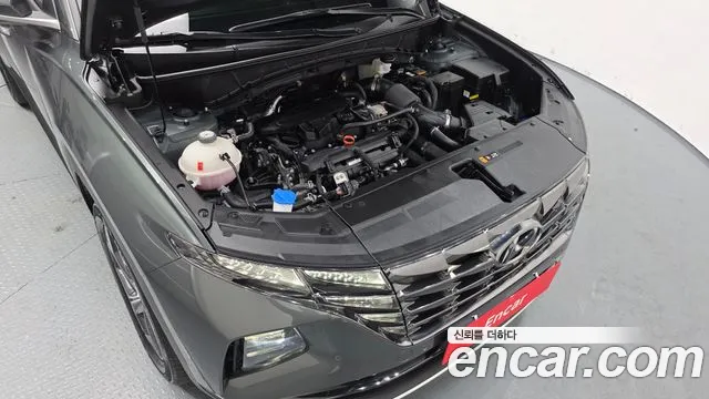 2023 Hyundai Tucson (NX4) Gasoline 1.6 Turbo 4WD VIN KMHJE81BHPU317560