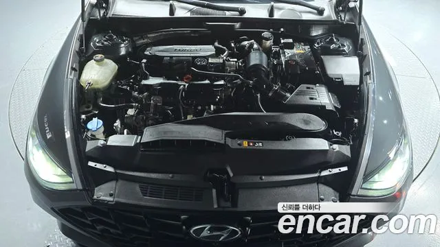 2020 Hyundai Sonata (DN8) 1.6 Turbo Sold VIN KMHL3412BLA069990 – photo 19