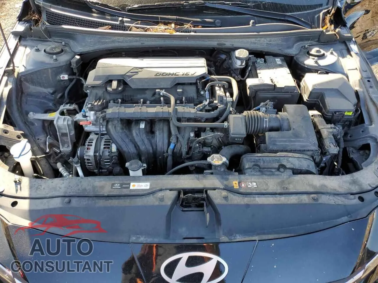 2024 HYUNDAI ELANTRA Damaged VIN KMHLM4DG9RU752068 – photo 11