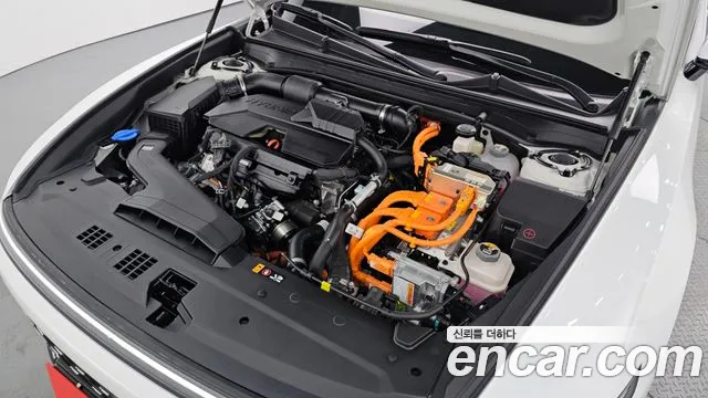 2025 Hyundai Grandeur Hybrid (GN7) Premium VIN KMHN1411BSA114489